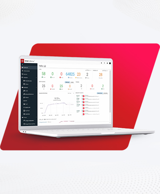 Access 8.1 소프트웨어 출시
